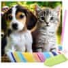 Diamantové malování - pes a kočka
